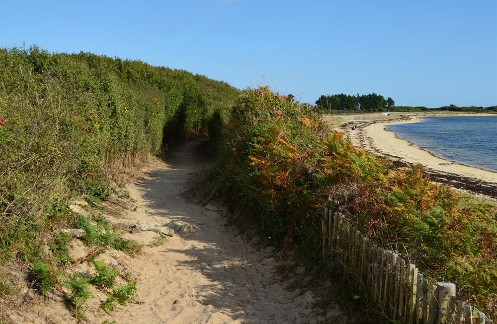 Sentiers plage - Golfe du Morbihan et alentours - Camping Le Diben, Larmor Baden