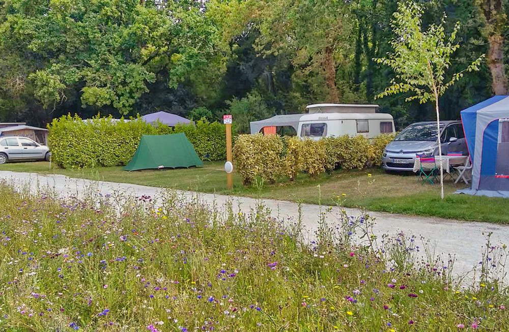 bord de mer - Emplacements tentes - Camping Le Diben - Larmor Baden 